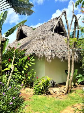 Villas for Sale in Las Terrenas samana